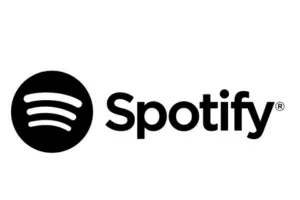 Real-Life Marriage on Spotify