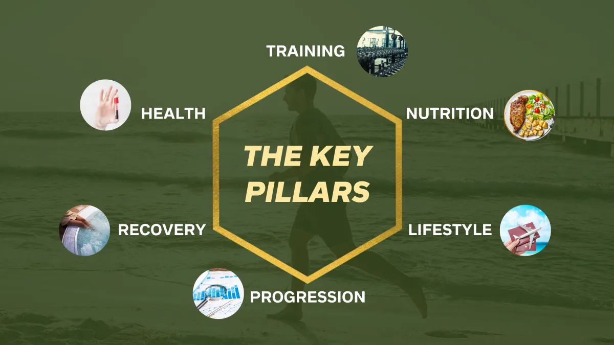 the fit high performer Products