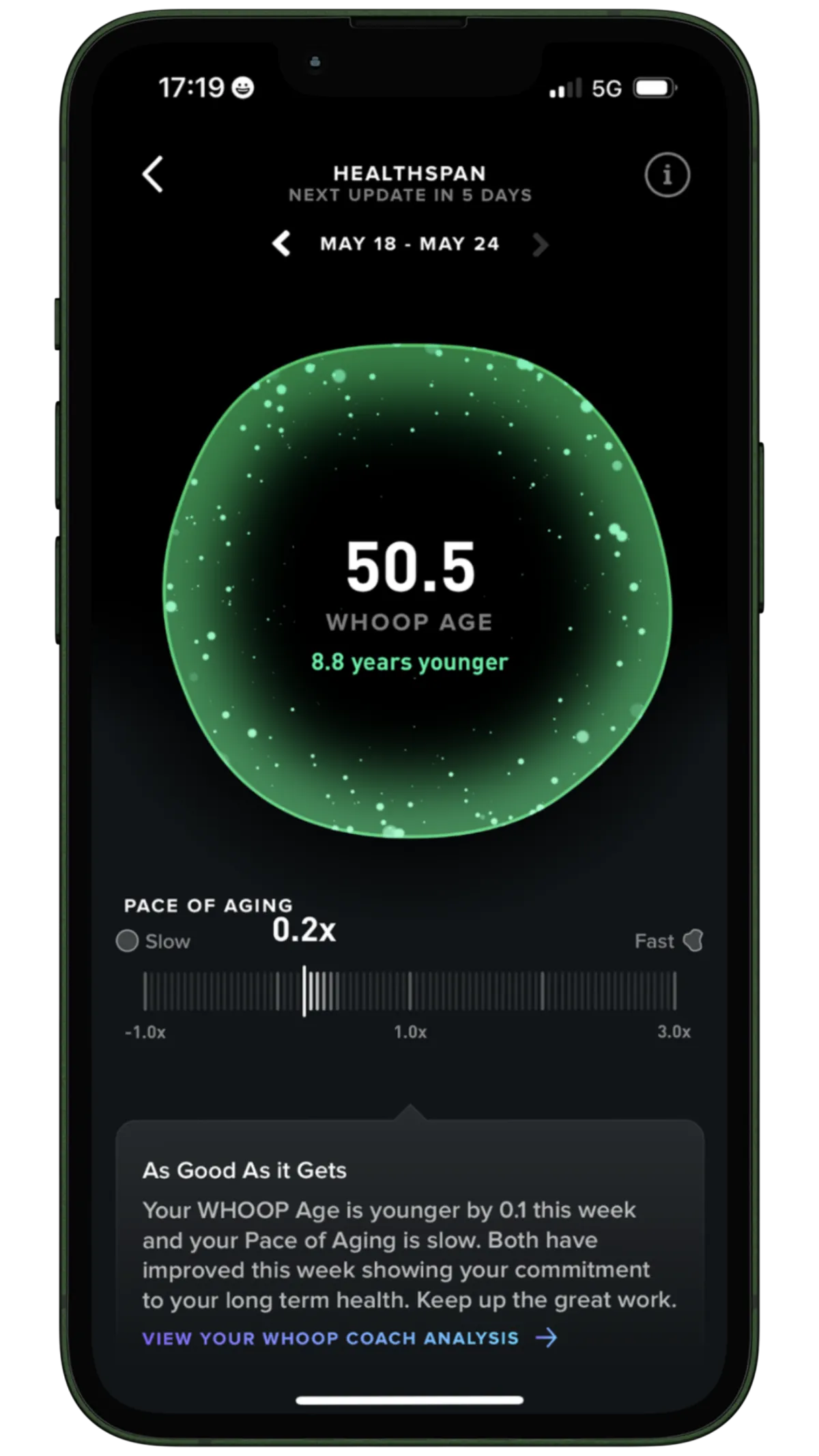 Comprehensive Blood Panels to optimise performance beyond basic screening 