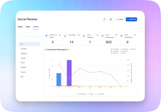 Social Planner Statistics