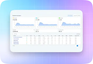 Facebook Ads Report