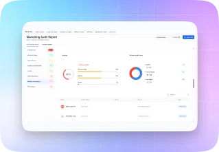 Audit Report