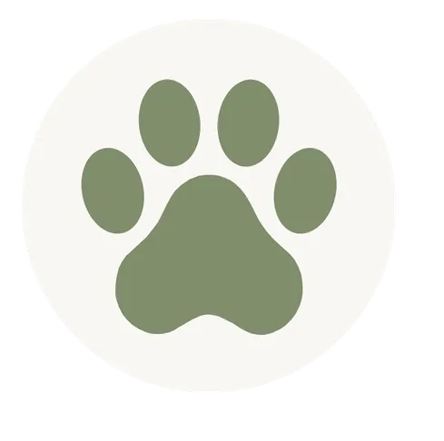 paw icon