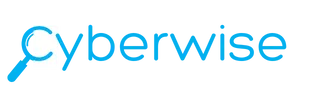 Cyberwise Logo