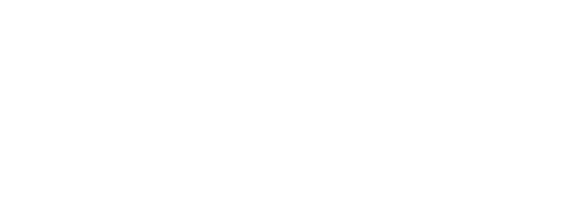 Super Steam Carpet Clean