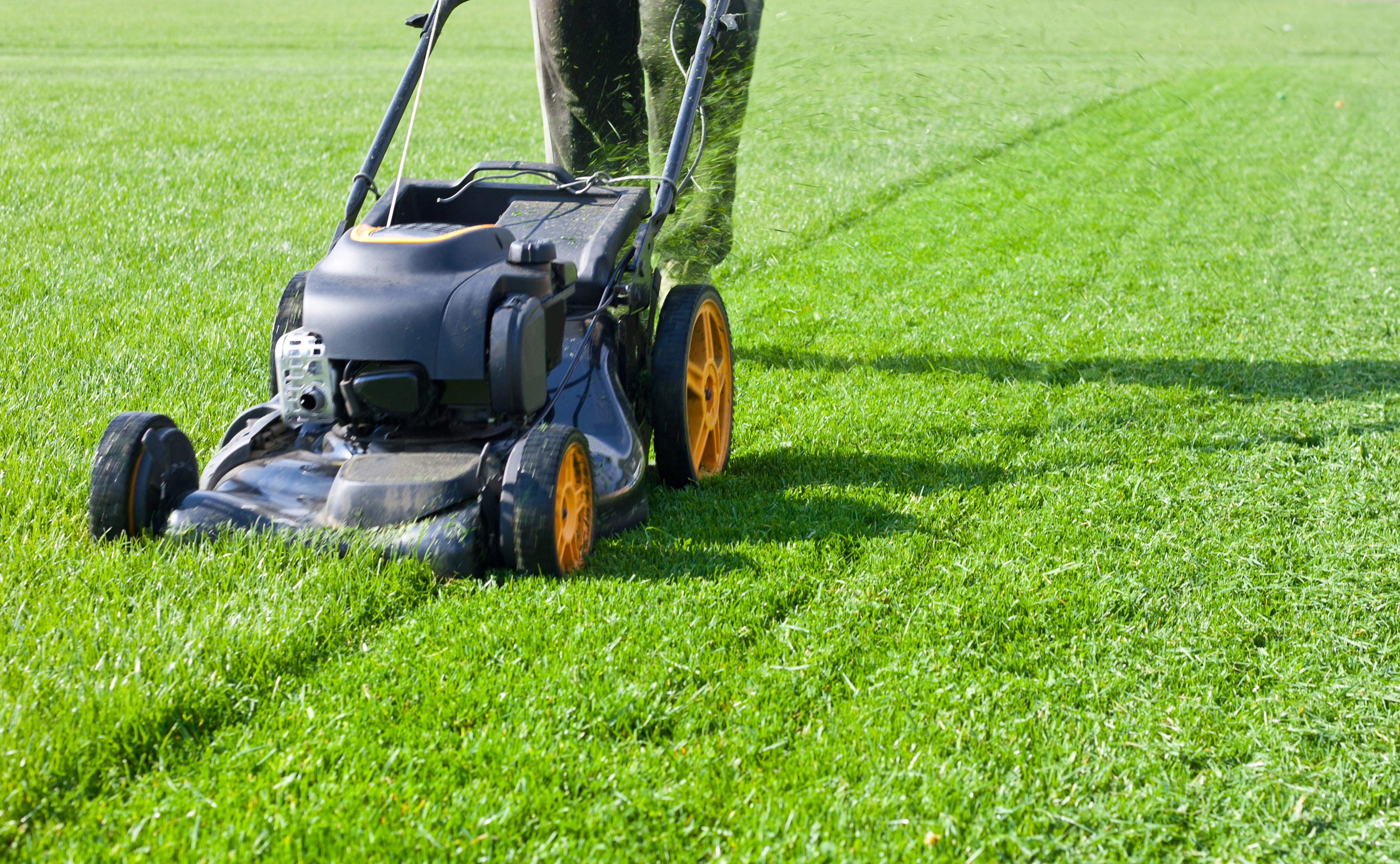 Lawn care services by Fort Wayne Lawn & Snow in Fort Wayne, IN.