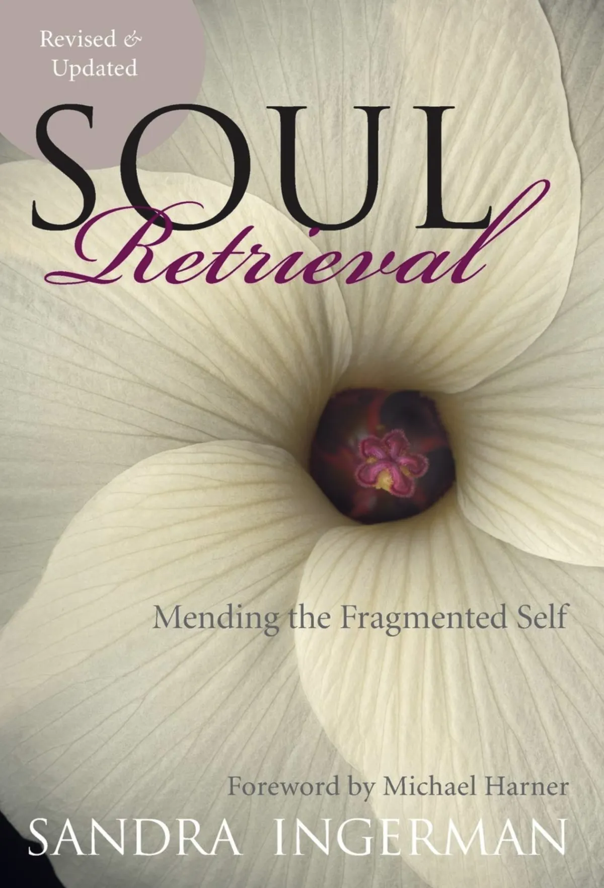 Soul Retrieval Book Cover 