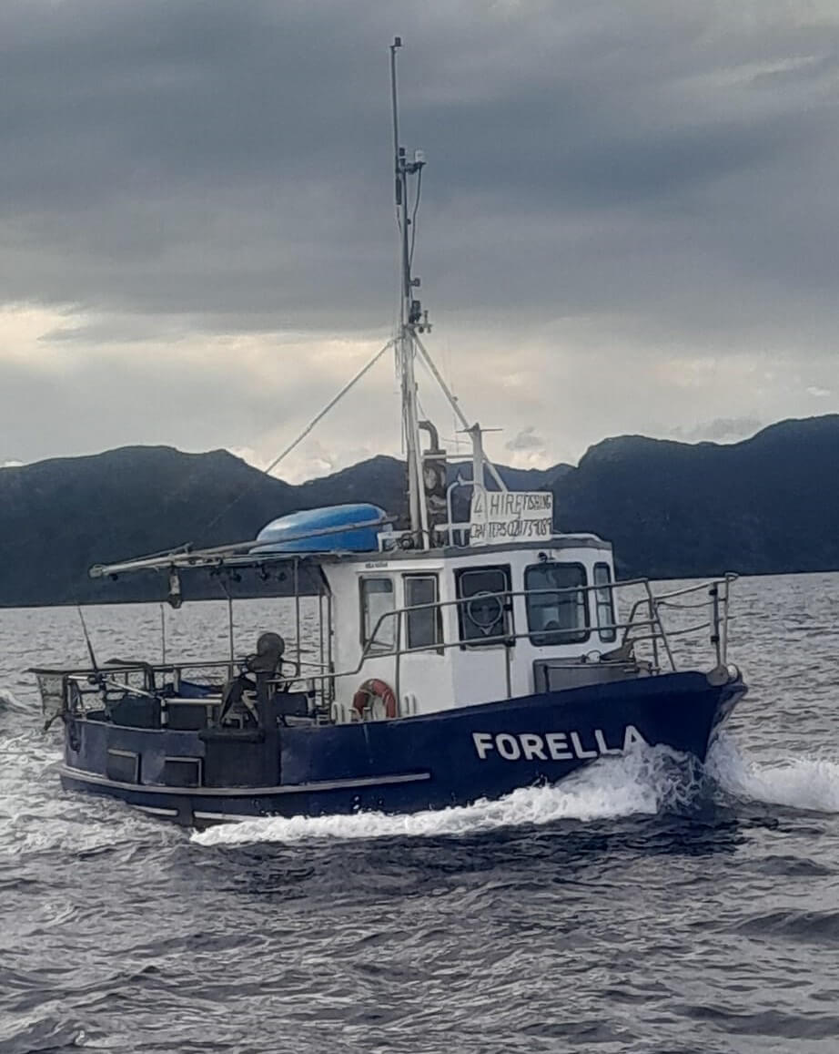 Sightseeing and island trip to Mokohinau Islands Auckland