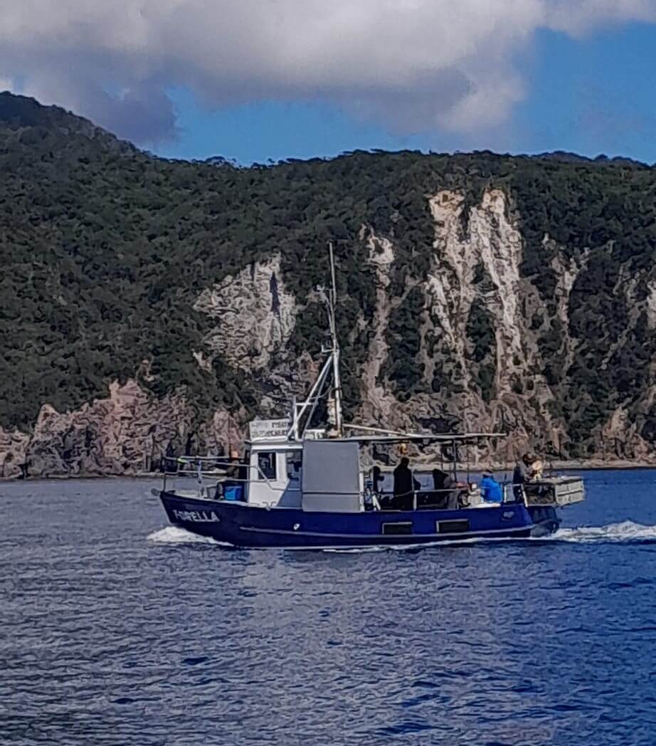 Fishing rod hire for JD’s Fishing Charters Auckland