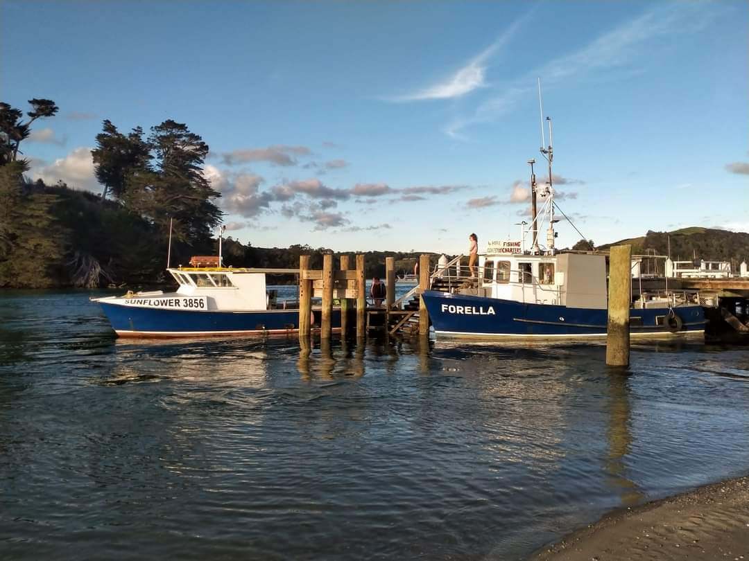 Individual fishing trip departing Leigh and Sandspit Auckland