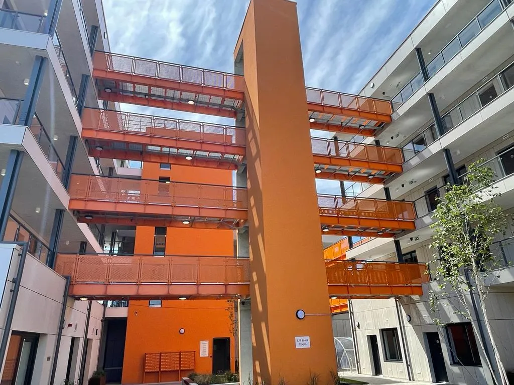 blue and green peacock feather