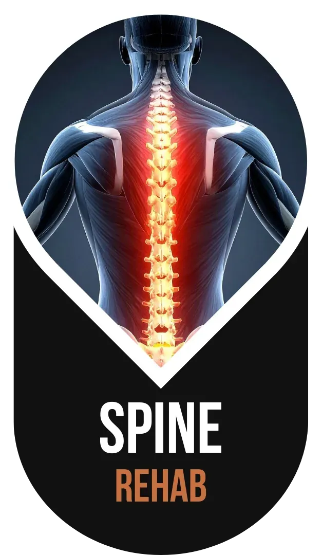 Forge Rehab and Performance |  Spine Rehab