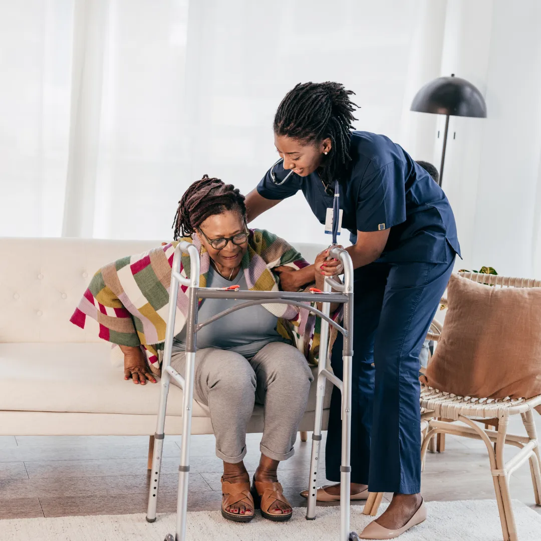black, brown, and white bird standing on person right hand