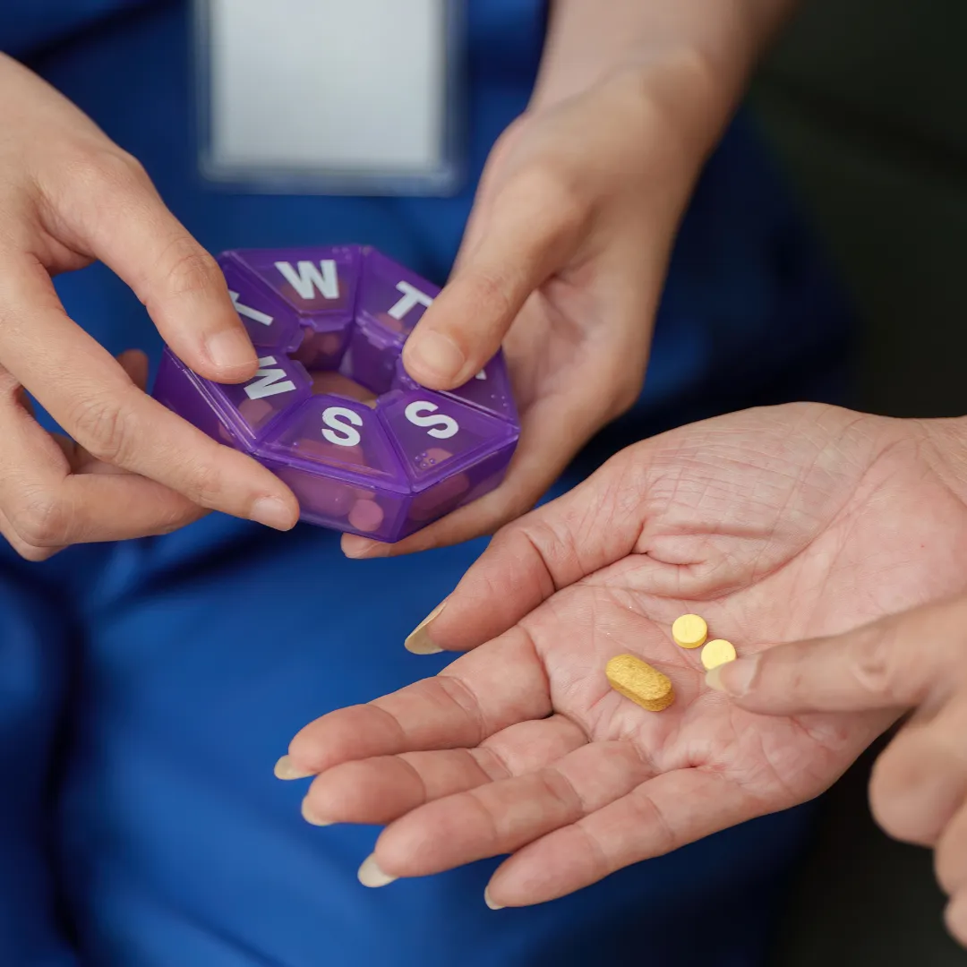 black, brown, and white bird standing on person right hand