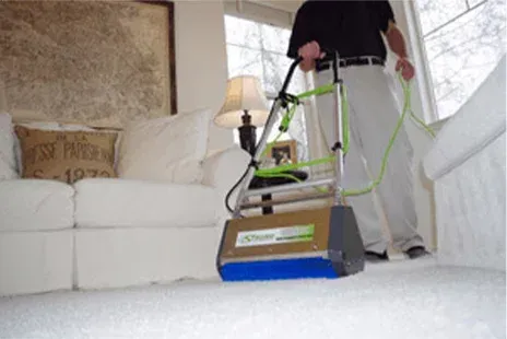 Carpet Cleaning