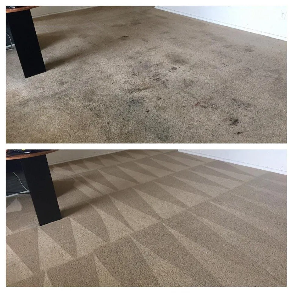 Carpet Cleaning	