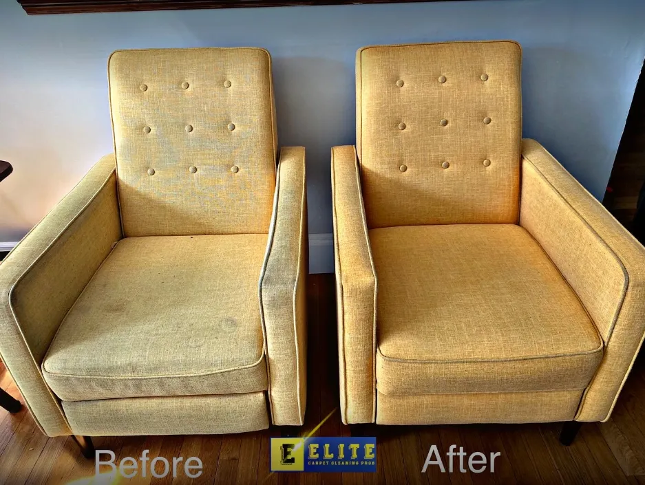 Upholstery Cleaning