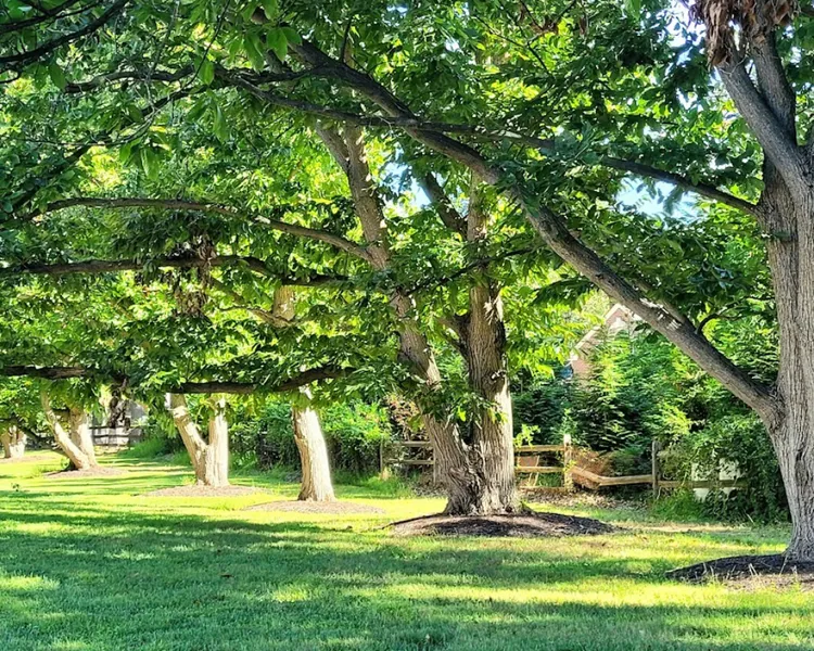 Private estate retreat rental Virginia