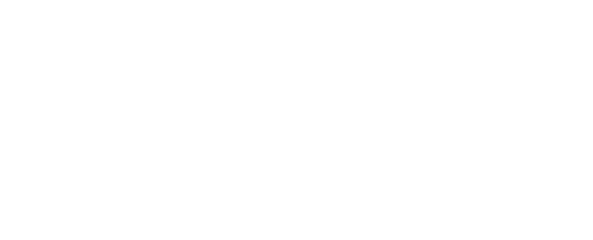 Lutz Screen Enclosures Logo