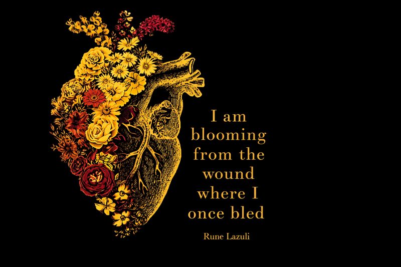 Revenue growth chart infographic showing $12M total with milestones and magenta launch markers