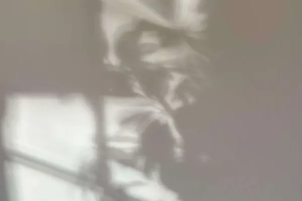 Why You’re Likely Vitamin D Deficient—Especially if You Live Above the 37th Parallel