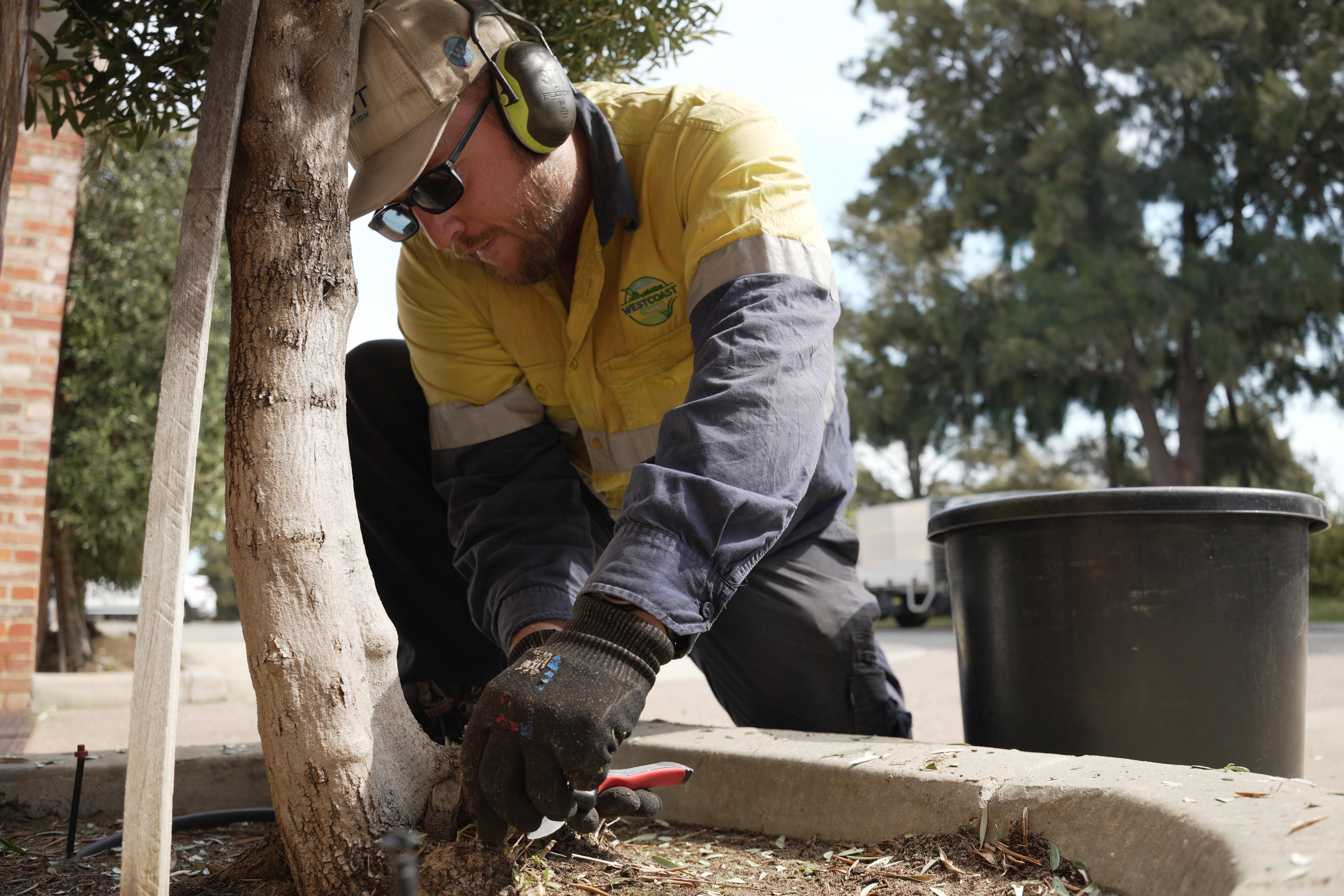 gutter cleaning services perth