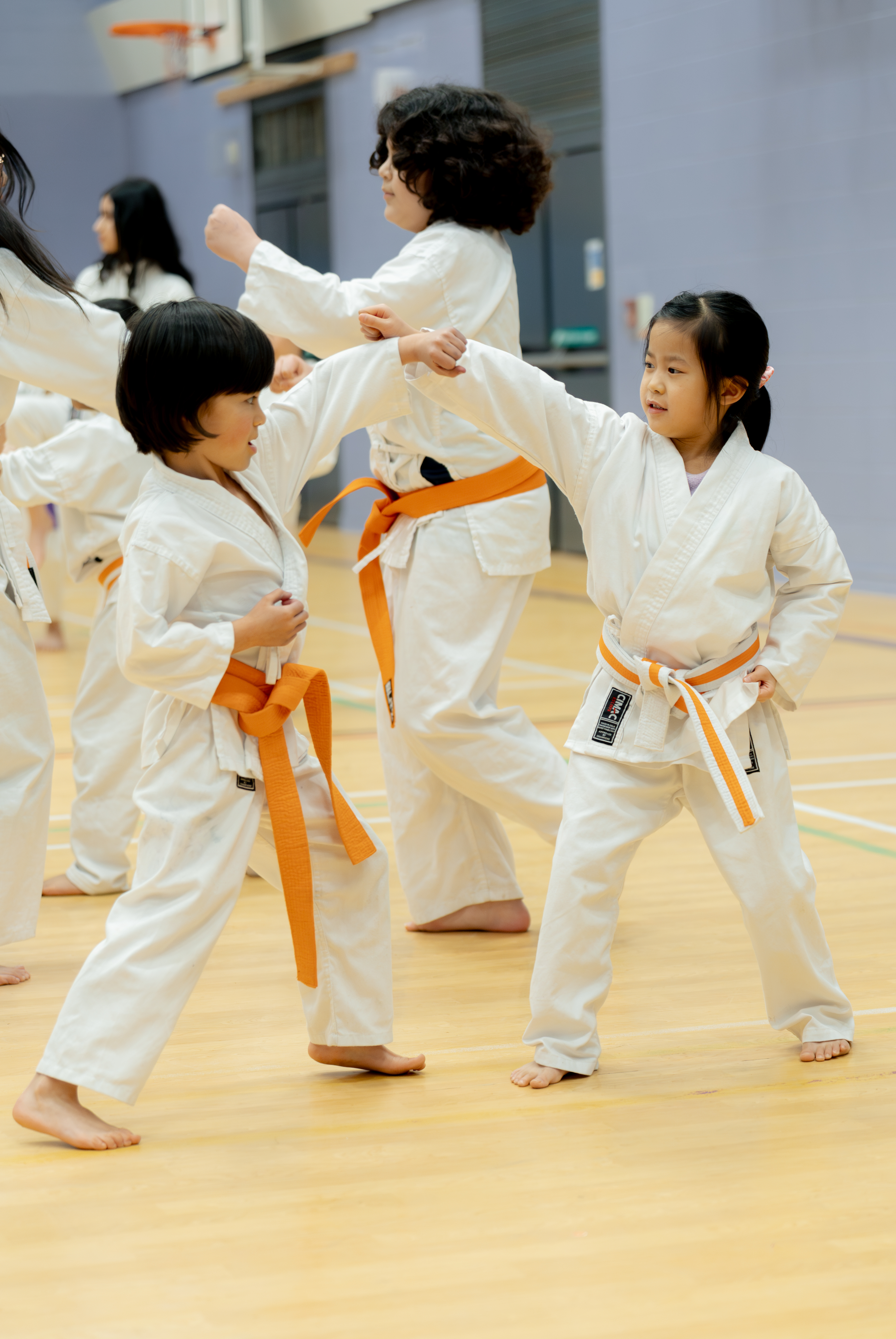 kids karate class Hale Karate Club Altrincham