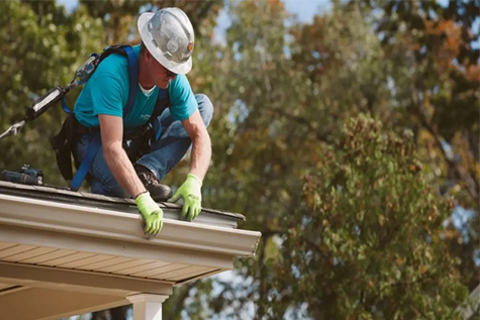 gutter maintenance - Tampa - FL