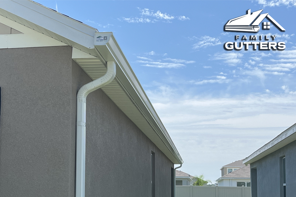 gutter cleaning service - Florida