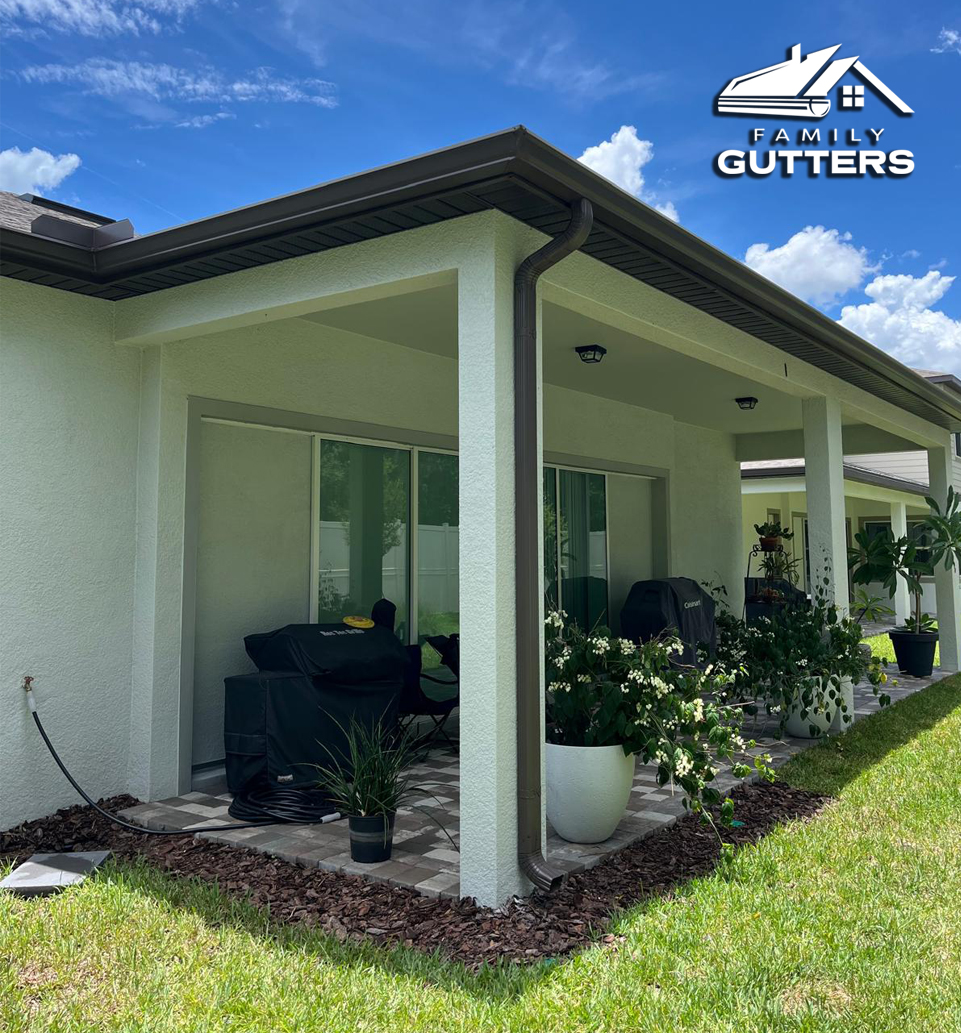 Gutter cleaning on a home in San Antonio Florida