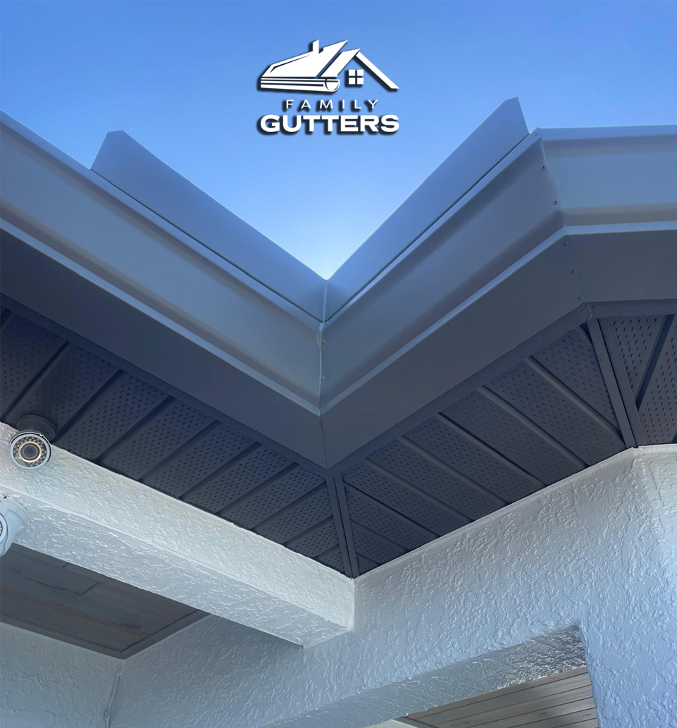 family gutters maintenance tampa fl
