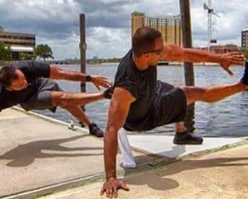 Executive Fitness Optimization South Tampa