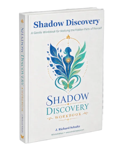 Shadow Discovery workbook picture
