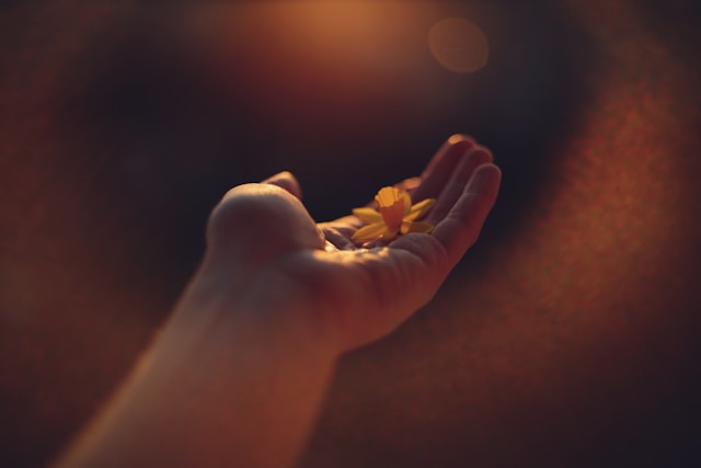 Abundance in the Shadow of Scarcity: Shifting the Scarcity Story