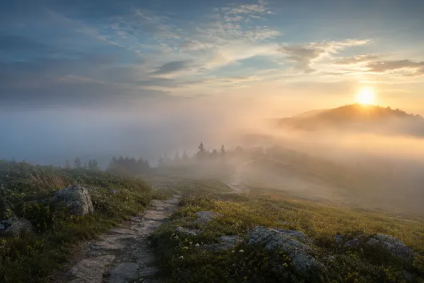 A wide natural landscape at first light. A visible path or trail moves forward through a meadow or hillside, then gradually disappears into soft mist before faintly reappearing farther ahead.