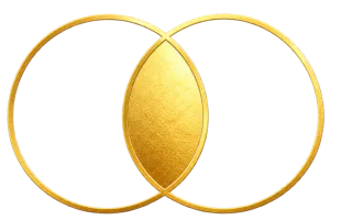 Icon of two overlapping circles representing integration
