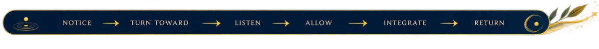 Journey of the circle - Notice, Turn toward, Listen, allow, integrate, return
