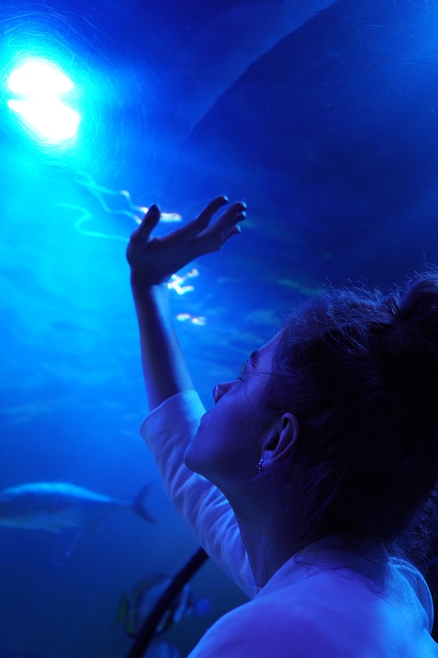 A woman that appears to be under water looking p toward the surface and light.
