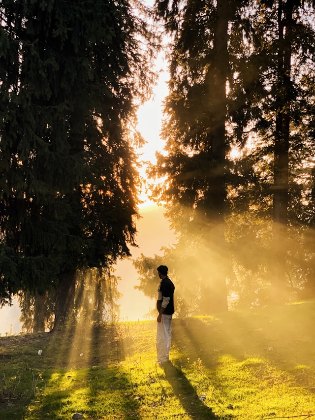 Man standing in yellow rays of light in a forest by a lake