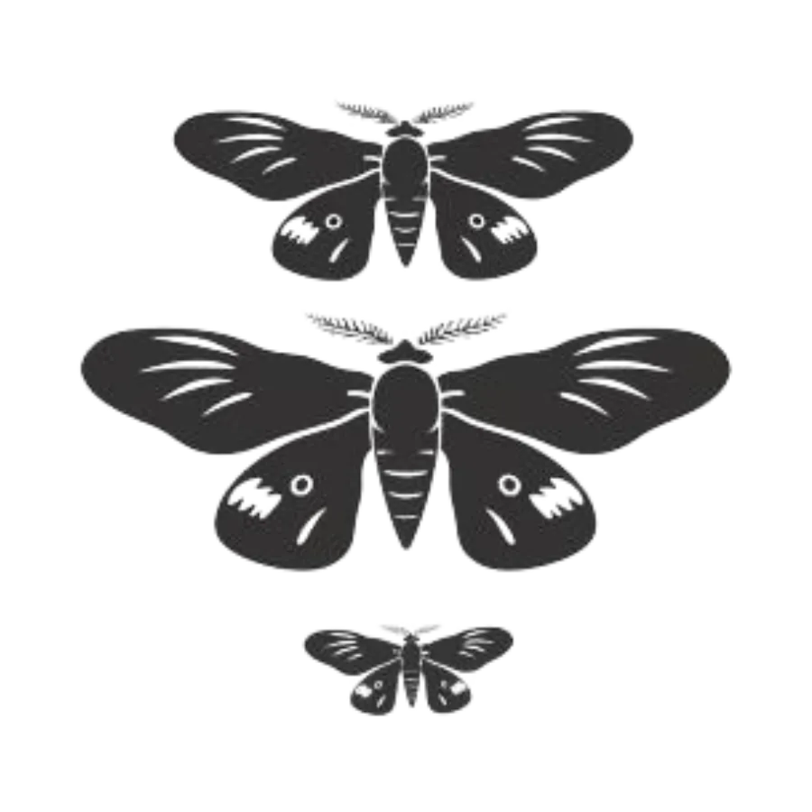 Moth Logo