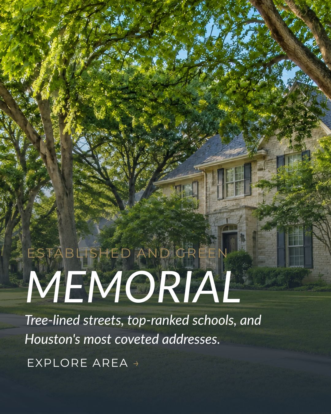 Tree-lined residential street in Memorial, Houston, featuring a luxury home surrounded by mature greenery.