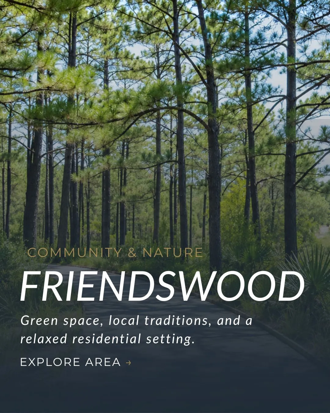 Wooded trail in Friendswood, Texas surrounded by tall pine trees and natural green space.