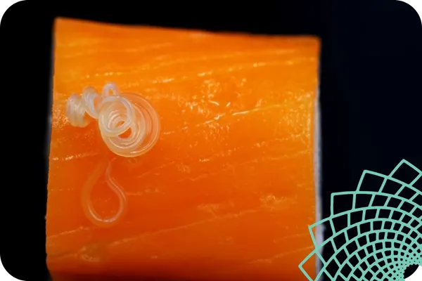 10 Signs You Might Have Parasites