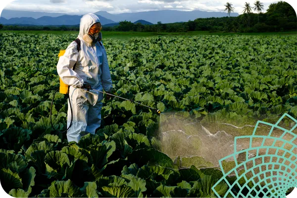 Advanced Health Coaching Training: IHP Level 3 Helps Practitioners Understand Environmental Toxicity