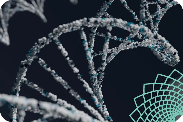 Decoding the MTHFR Gene: Understanding Methylation and Unraveling its Impact on Health
