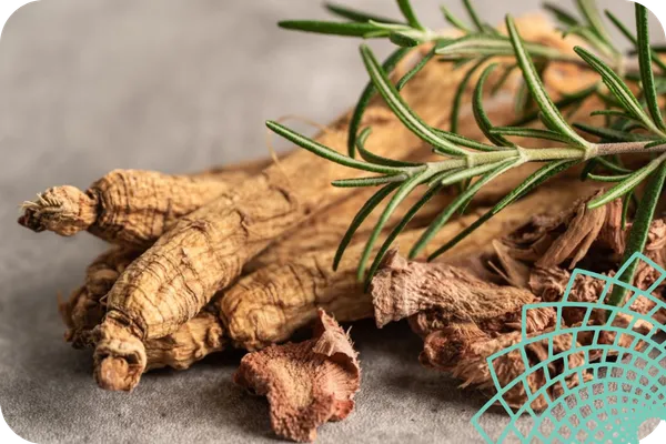 Understanding Traditional Chinese Medicine and Chinese Herbalism