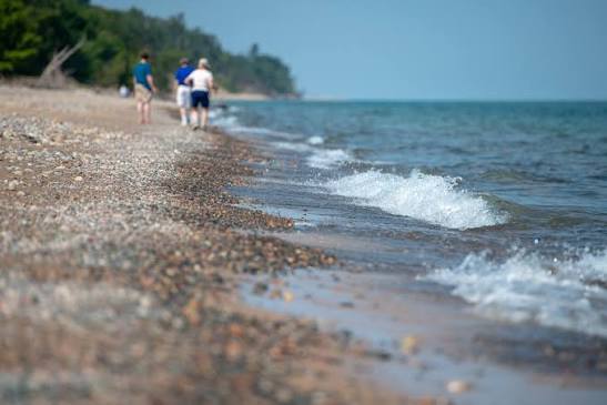 🌳 Best Parks Near Hazel Park, MI for a Relaxing Day Trip by Car