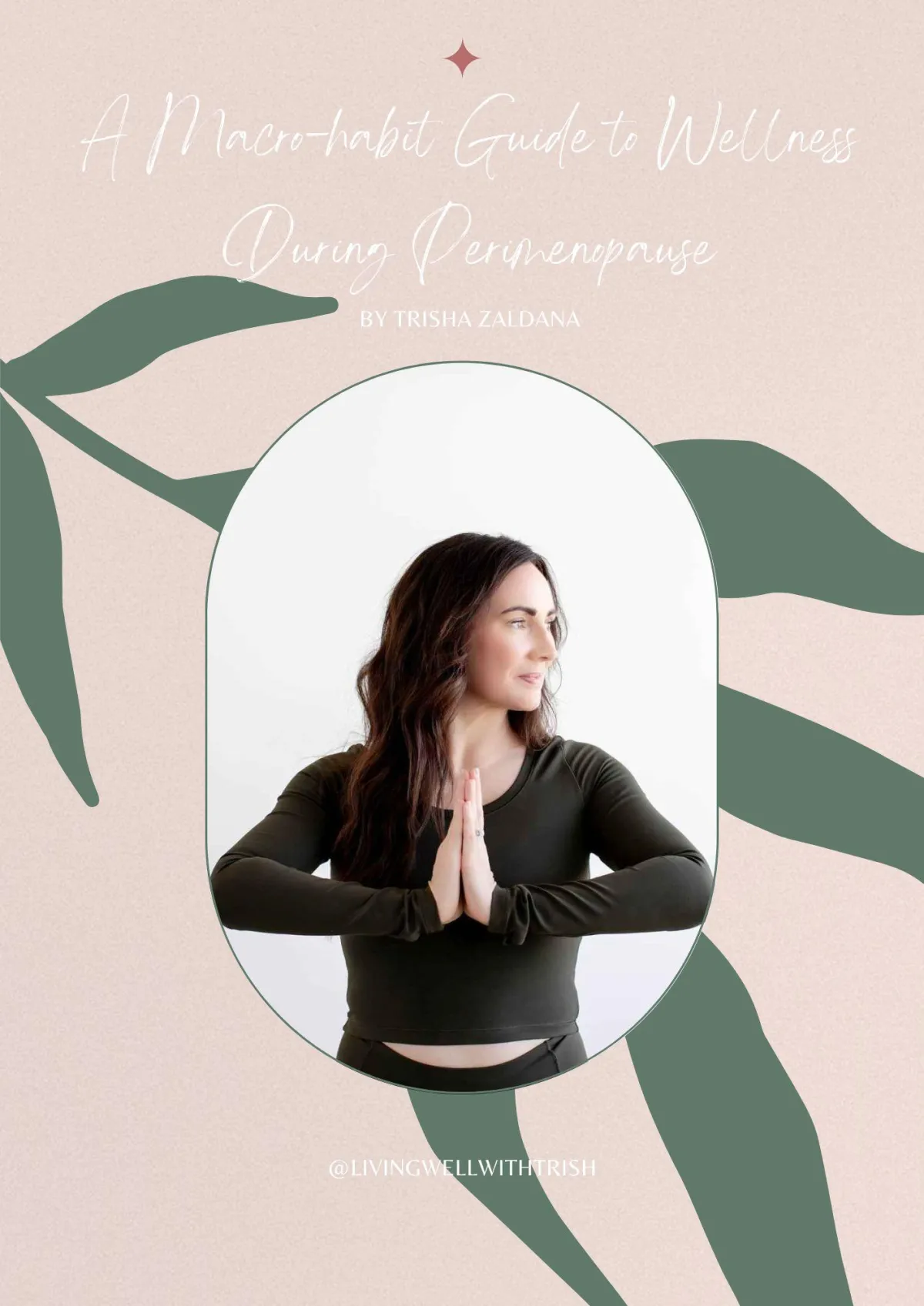 Cover of macro habits guide with woman brown hair looking peacefully off into the distance