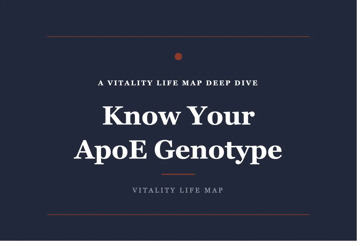 Five Lessons Worth Keeping | Vitality Life Map
