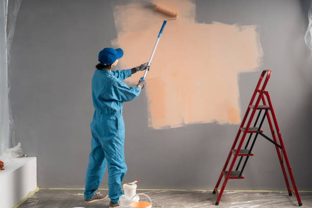 Weather Board Stripping And Preparation Experts